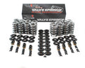 Platinum LS Dual Springs .660in Lift