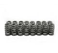 LS6 Beehive Springs .560 Lift (16)